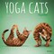 Plato; Yoga Cats Together OFFICIAL | 2027 12 x 24 Inch (Hanging) Monthly Square Wall Calendar; Category:Wall Calendars; Image:2